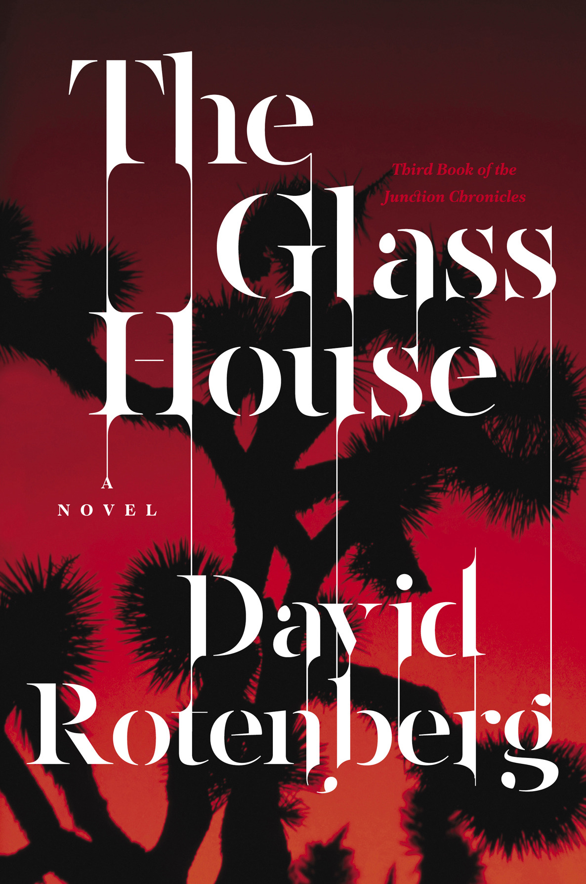 The Glass House Rotenberg David