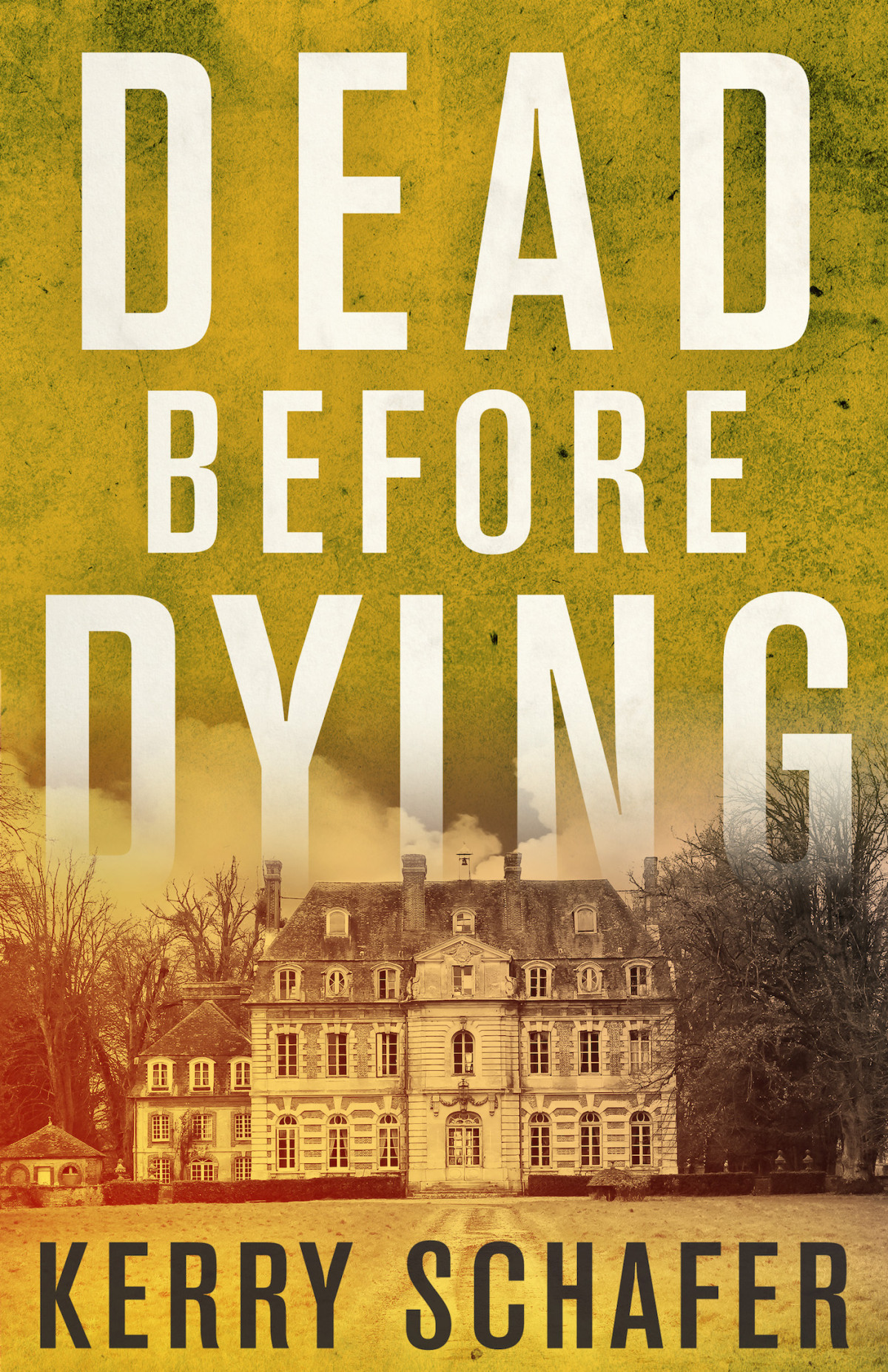Dead Before Dying Schafer Kerry