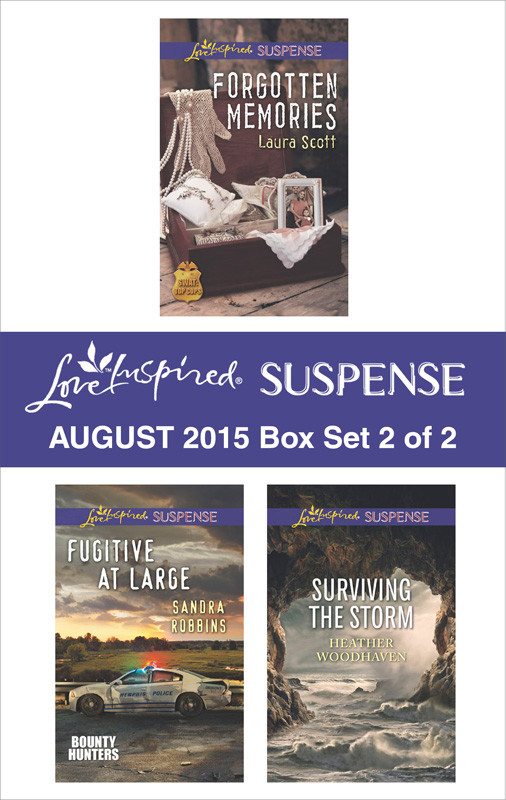 Forgotten Memories Fugitive At Largesurviving The Storm Scott Laura Robbins Sandra Woodhaven Heather