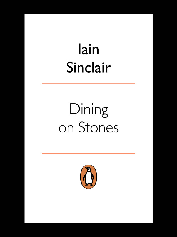Dining On Stones Or The Middle Ground Sinclair Iain
