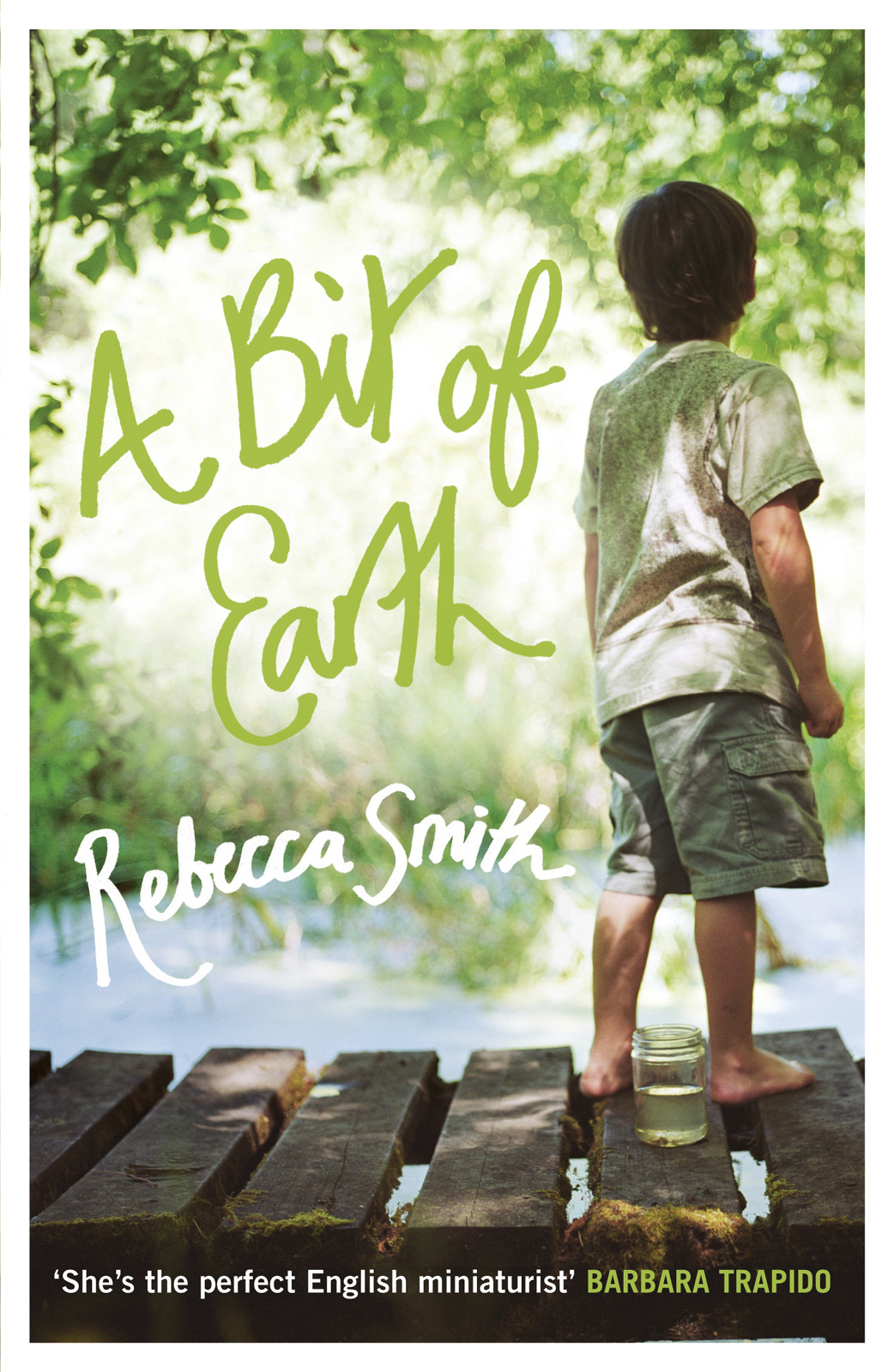 A Bit Of Earth Smith Rebecca