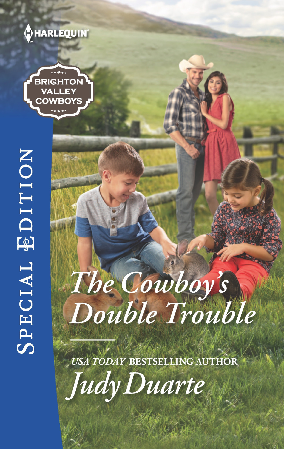 The Cowboys Double Trouble Brighton Valley Cowboys 3 Judy Duarte