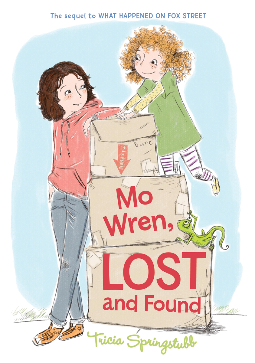 Mo Wren Lost And Found Springstubb Tricia