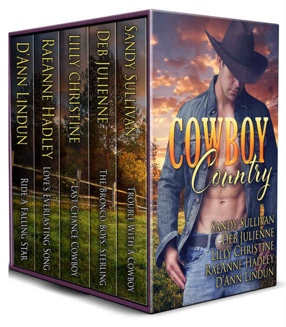 Cowboy Country Box Set Sullivan Sandy Julienne Deb Christine Lilly Hadley Raeanne