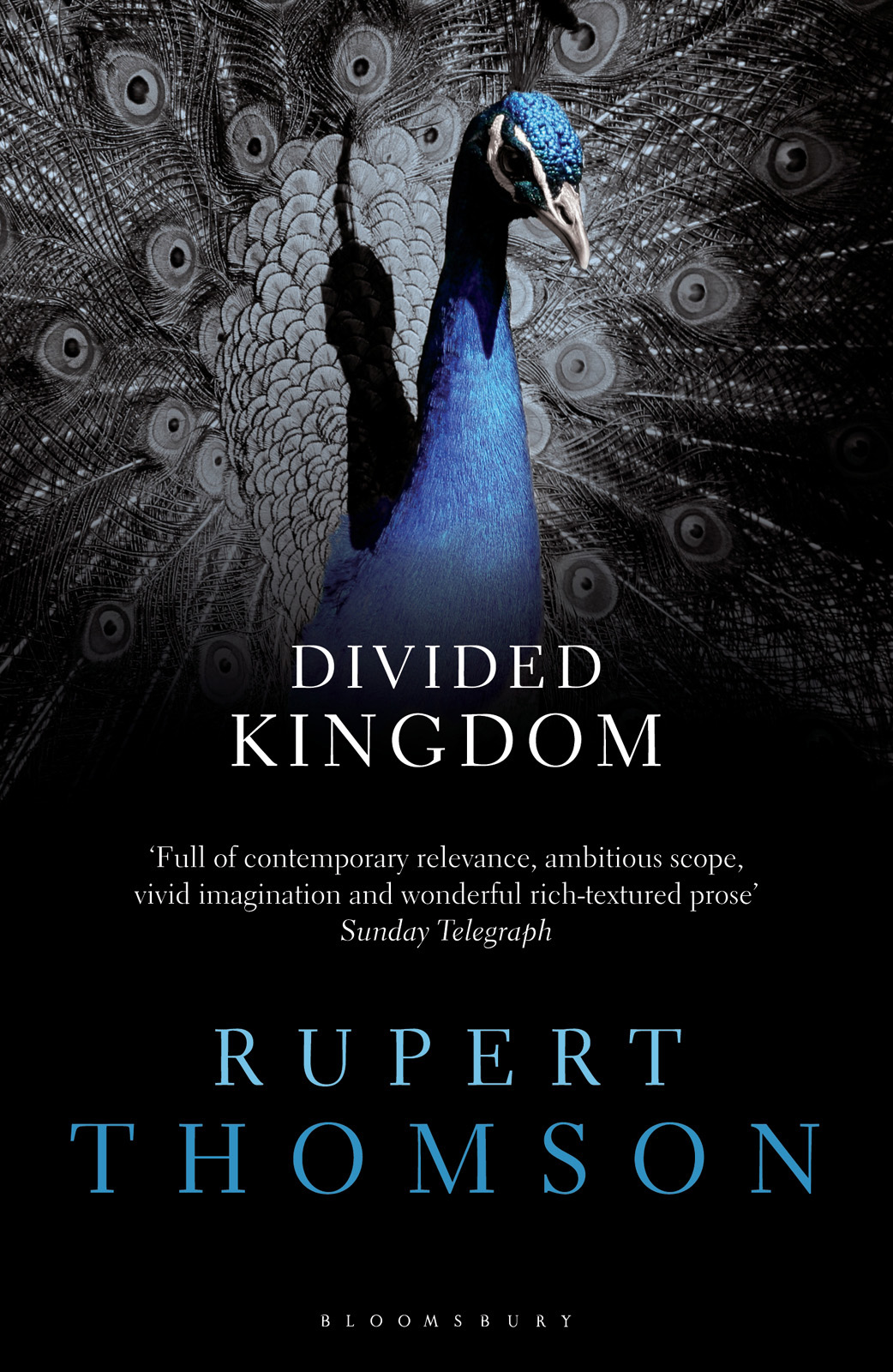 Divided Kingdom Rupert Thomson
