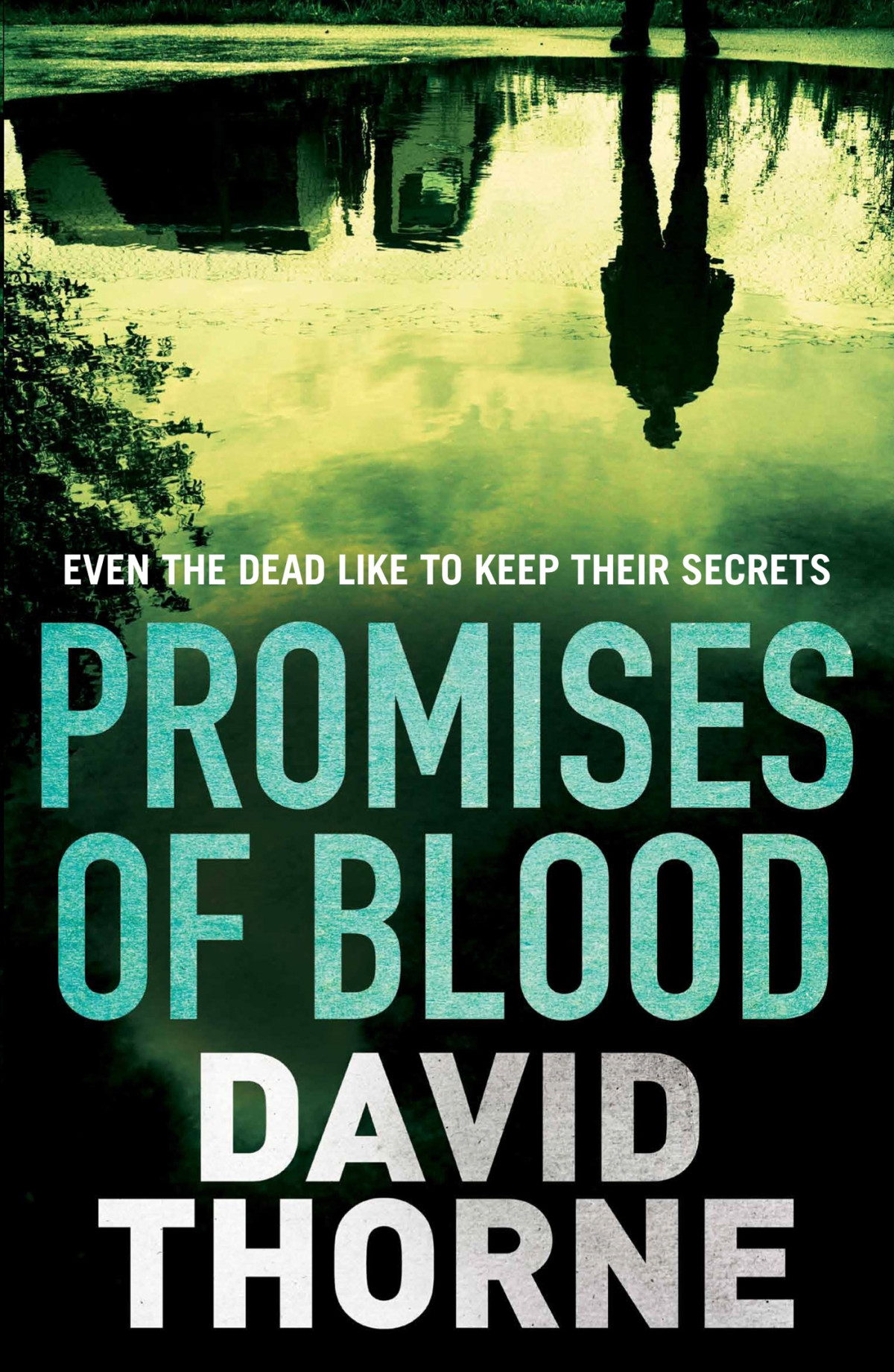Promises Of Blood Thorne David