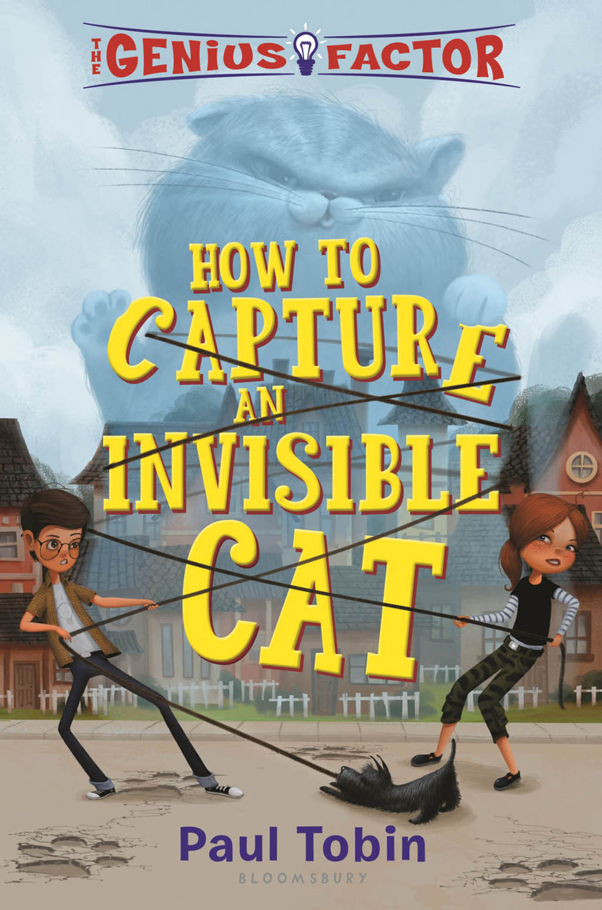The Genius Factor How To Capture An Invisible Cat Tobin Paul