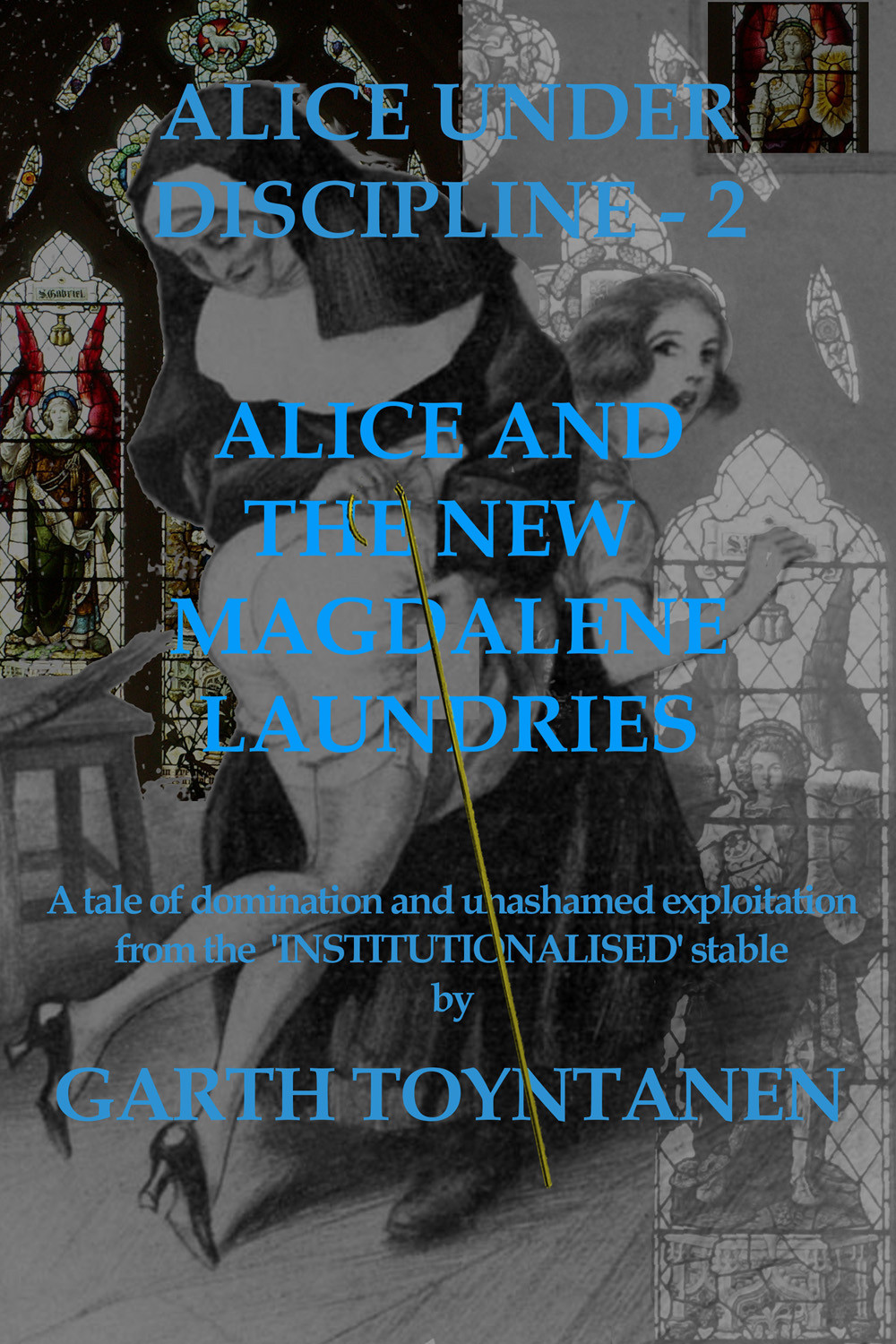 Alice And The New Magdalene Laundries Toyntanen Garth