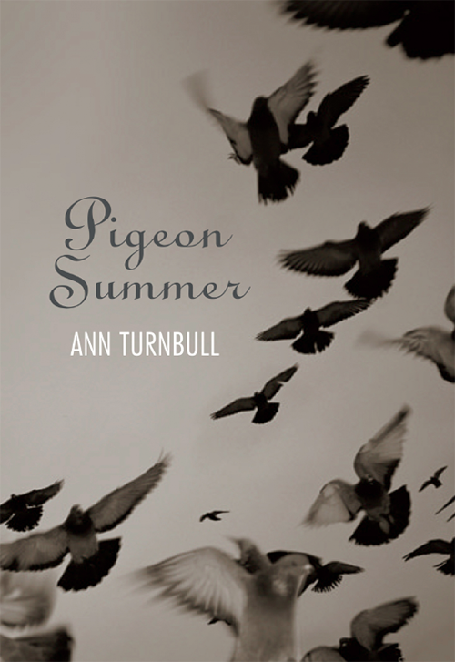 Pigeon Summer Turnbull Ann