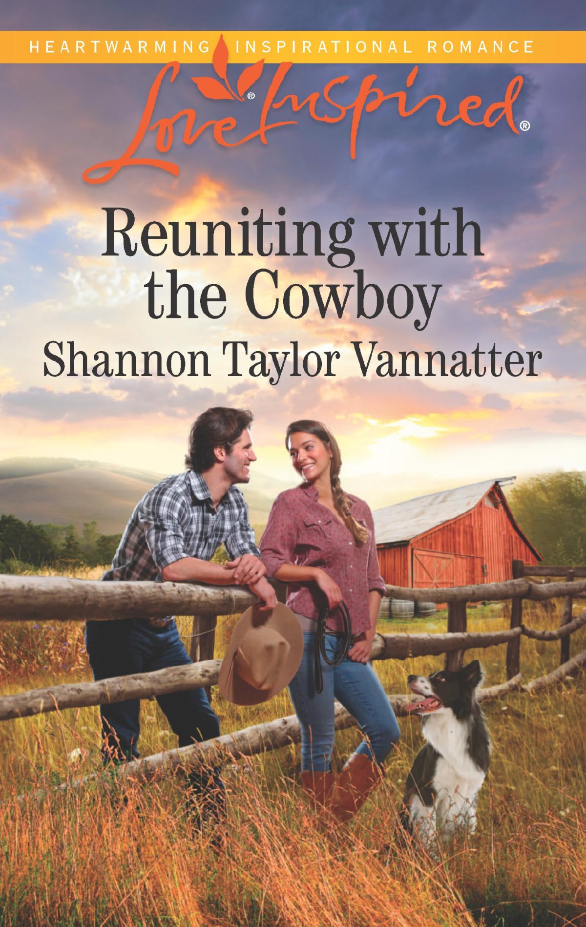 Reuniting With The Cowboy Shannon Taylor Vannatter