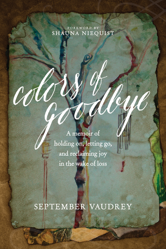 Colors Of Goodbye A Memoir Of Holding On Letting Go And Reclaiming Joy In The Wake Of Loss Vaudrey September