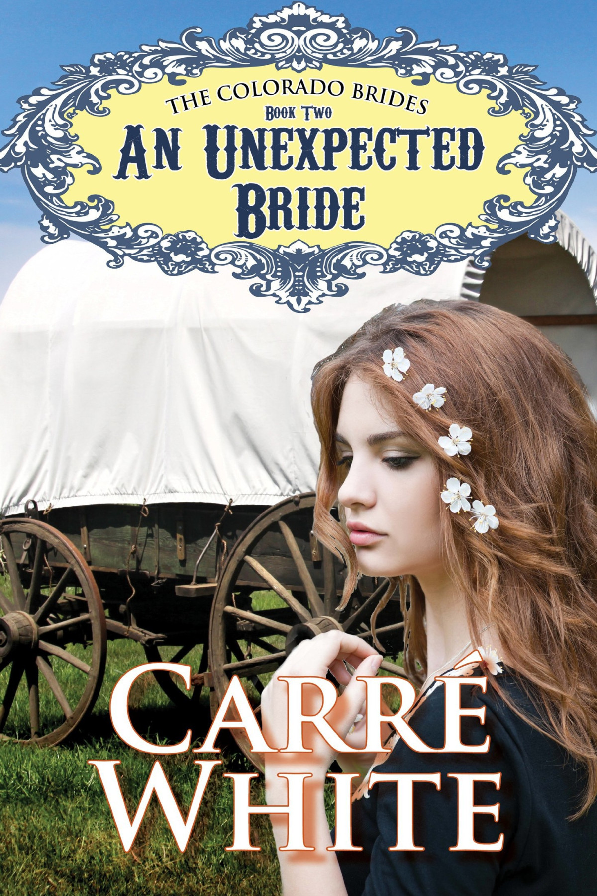 An Unexpected Bride White Carr