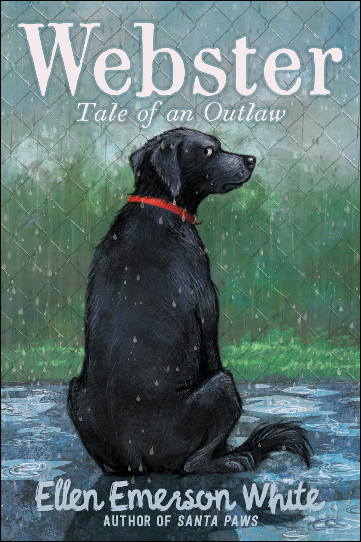 Webster Tale Of An Outlaw White Ellen Emerson