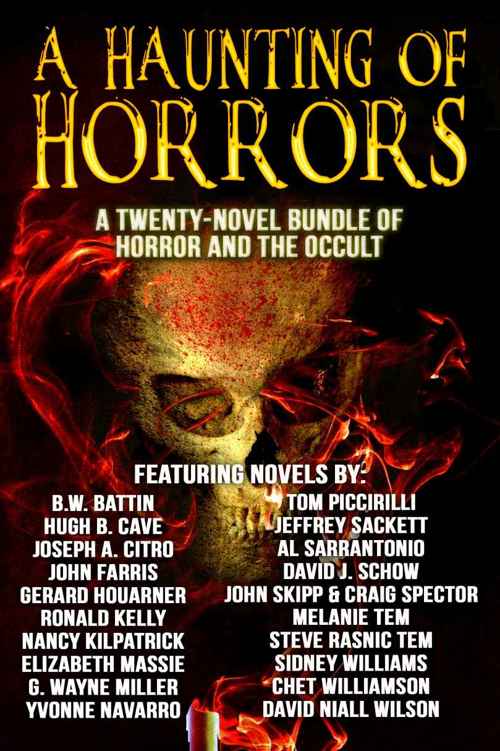 A Haunting Of Horrors A Twentynovel Ebook Bundle Of Horror And The Occult Williamson Chet Farris John Skipp John Spector Craig