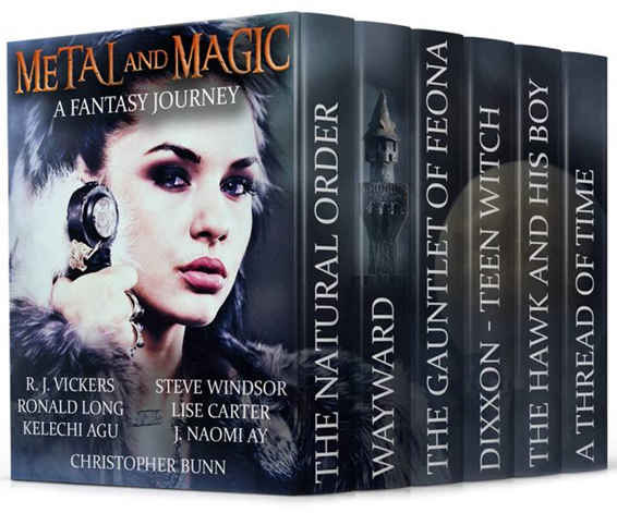 Metal And Magic A Fantasy Journey Windsor Steve Carter Lise Long Ronald Ay J Naomi