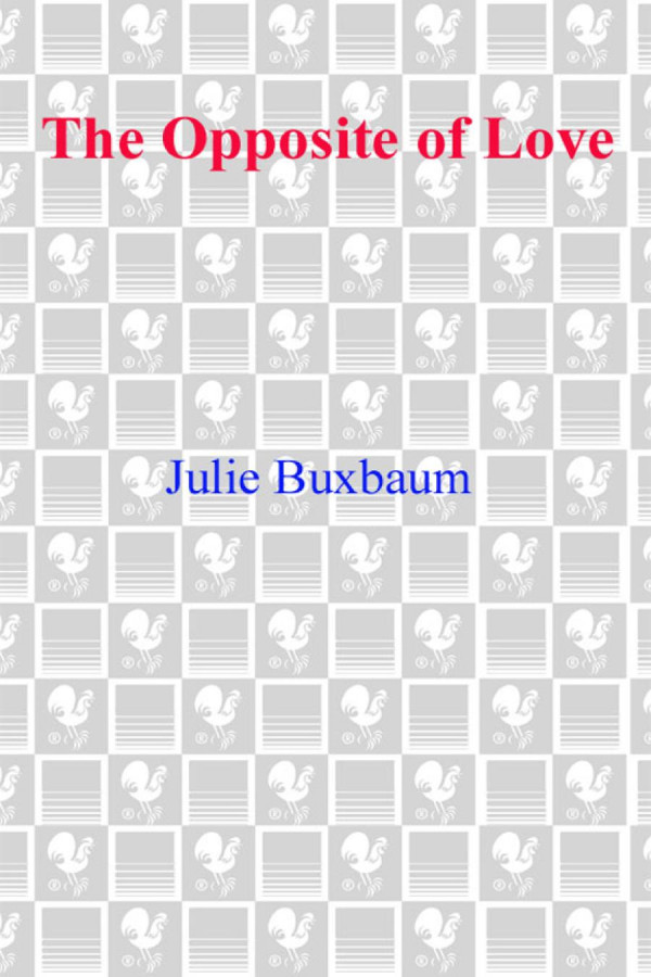 The Opposite Of Love Buxbaum Julie
