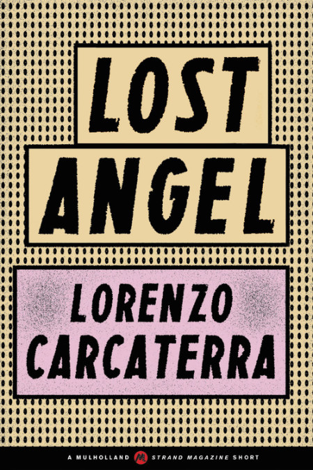 Lost Angel Carcaterra Lorenzo