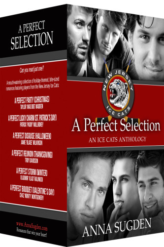 A Perfect Selection A Perfect Party Lucky Charm Disguise Reunion Storm Bouquet Sugden Anna