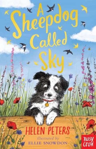 A Sheepdog Called Sky Peters Helen