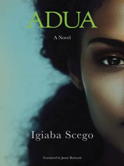 Adua A Novel Translation Igiaba Scego Jamierichards Translation