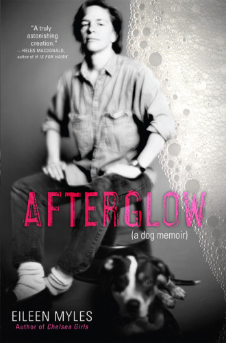 Afterglow A Dog Memoir Myles Eileen