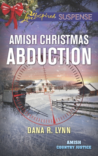 Amish Christmas Abduction Dana R Lynn