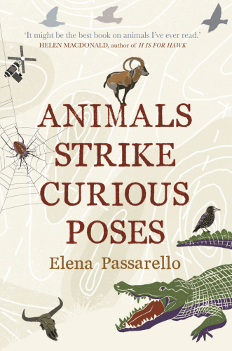 Animals Strike Curious Poses Passarello Elena