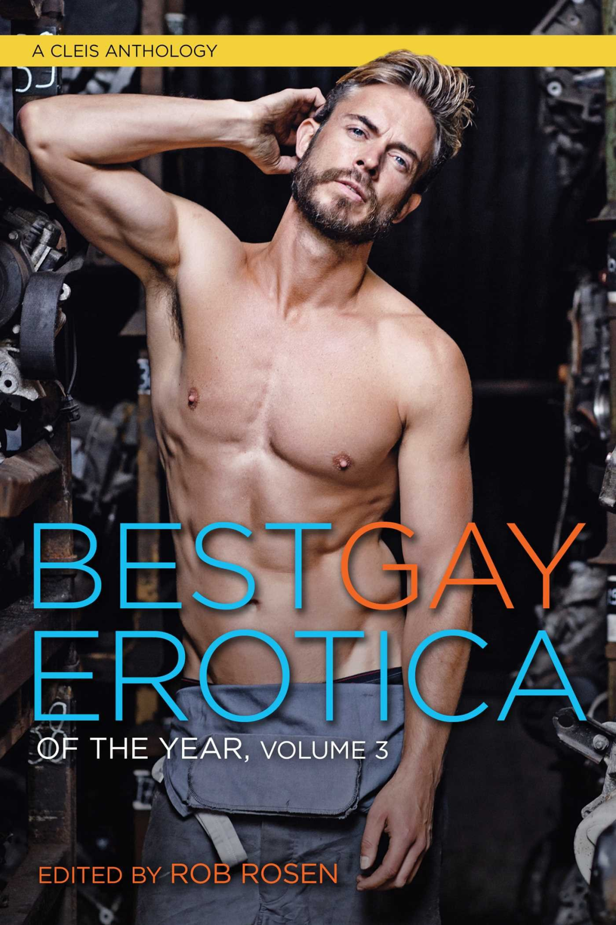 Best Gay Erotica Of The Year Volume 3 Rob Rosen