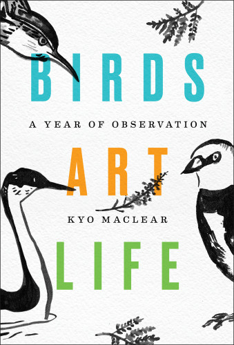Birds Art Life A Year Of Observation Kyo Maclear