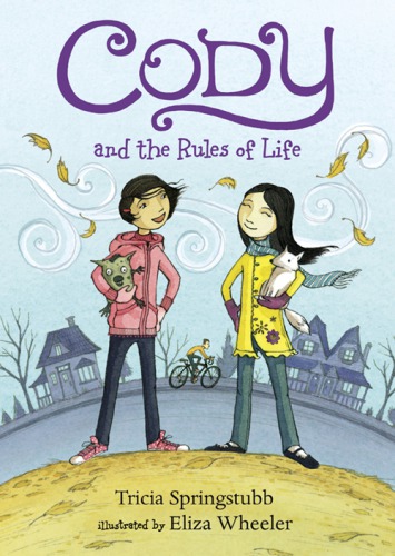 Cody And The Rules Of Life Springstubb Tricia