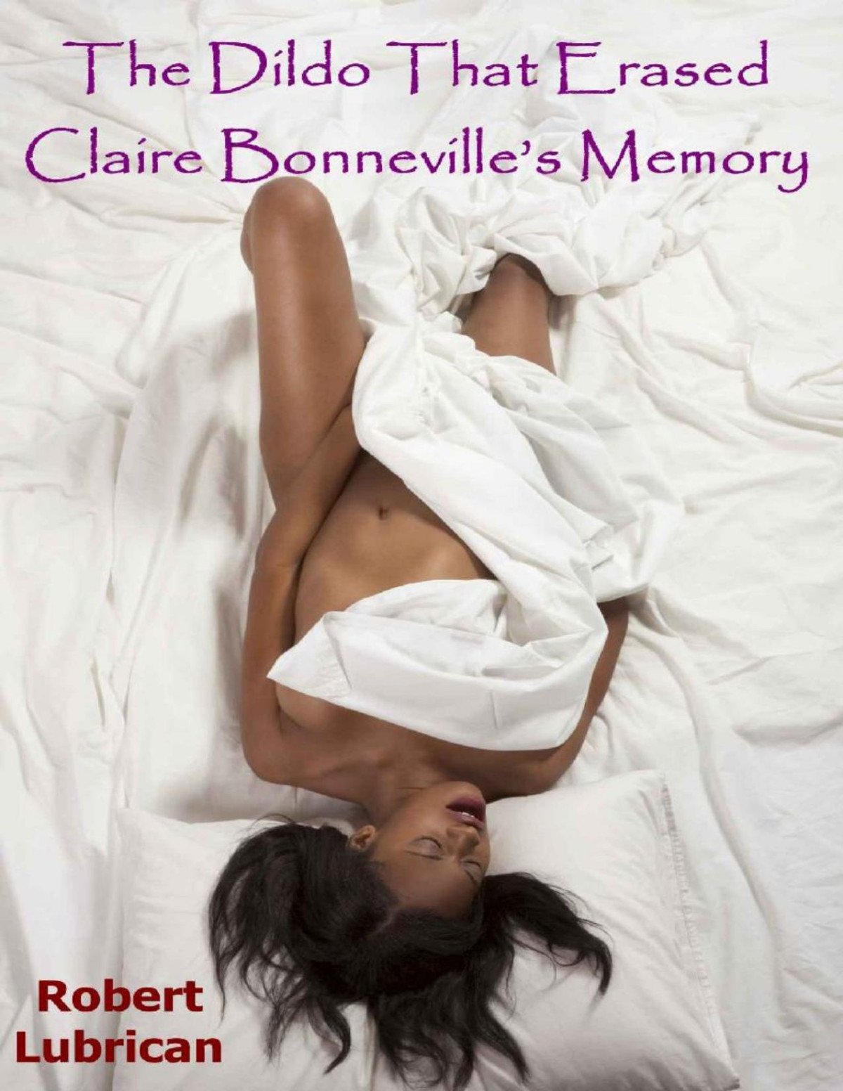 The Dildo That Stole Claire Bonnevilles Memory Robert Lubrican