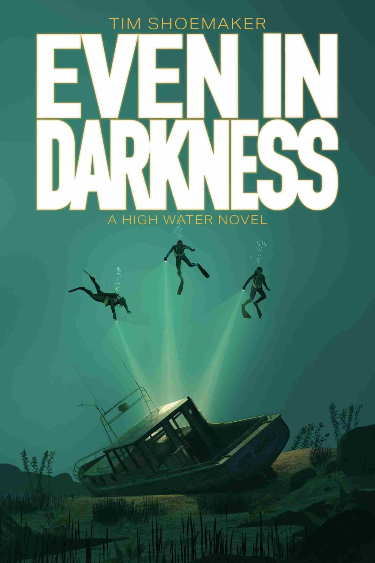 Even In Darkness Tim Shoemaker
