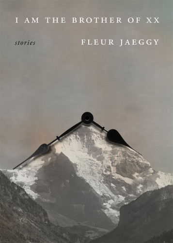 I Am The Brother Of Xx Stories Fleur Jaeggy