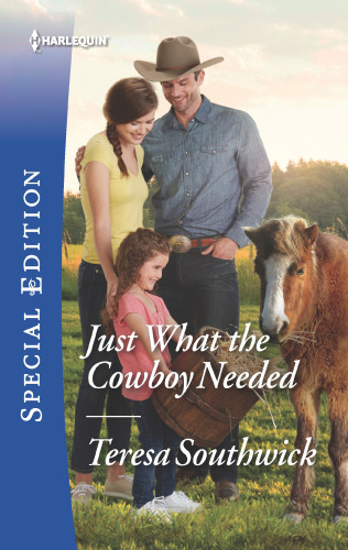 Just What The Cowboy Needed Southwick Teresa