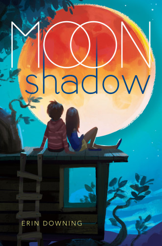 Moon Shadow Downing Erin