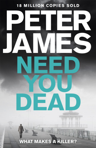Need You Dead Roy Grace 13 James Peter