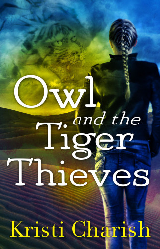Owl And The Tiger Thieves Charish Kristi