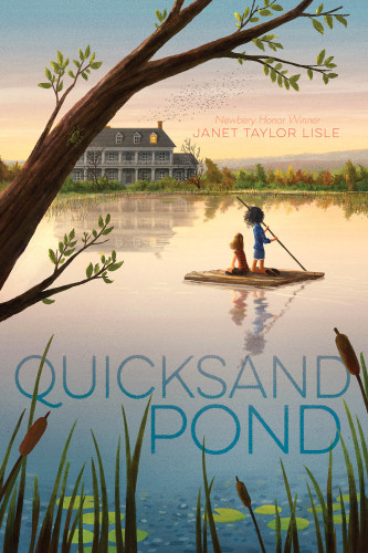 Quicksand Pond Lisle Janet Taylor