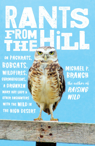 Rants From The Hill On Packrats Bobcats Wildfires Etc Branch