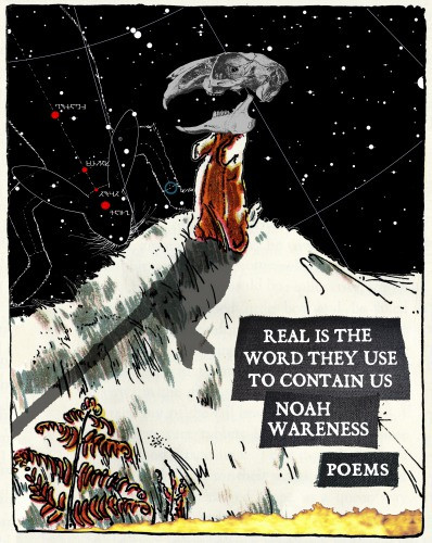 Real Is The Word They Use To Contain Us Poems Wareness Noah