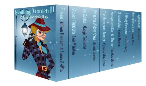 Sleuthing Women Ii 10 Mystery Novellas Box Set Brennan Allison Griffin Laura Winston Lois Toussaint Maggie