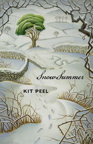 Snow Summer Peel Kit
