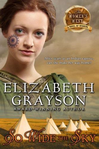 So Wide The Sky Grayson Elizabeth
