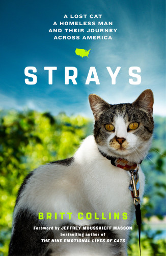 Strays A Lost Cat A Homeless Man And Their Journey Across America 1st Edition Collins Britt