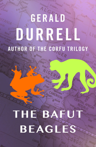 The Bafut Beagles Durrell Gerald