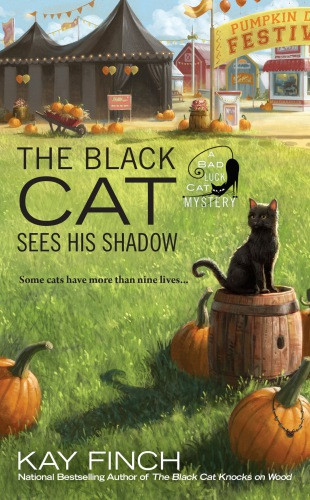 The Black Cat Sees His Shadow Finch Kay