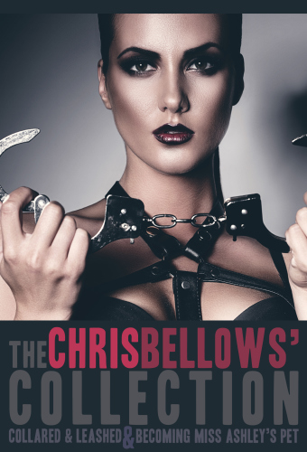 The Chris Bellows Collection Collared And Leashed Becoming Miss Ashleys Pet Bellows Chris