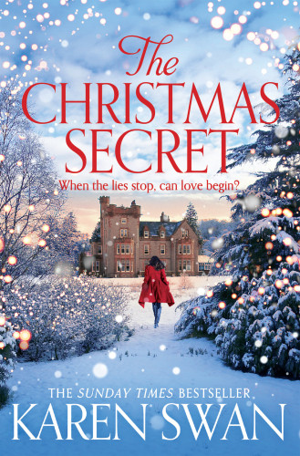 The Christmas Secret Swan Karen