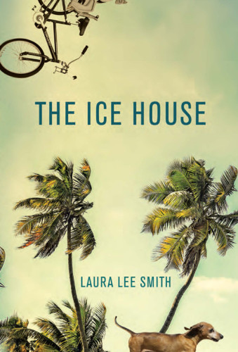 The Ice House Smith Laura Lee