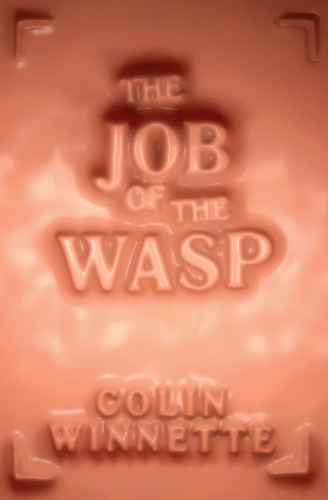 The Job Of The Wasp Colin Winnette